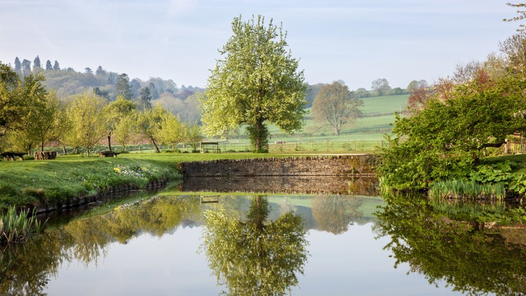 A view across Lawn Pool over the countryside, with trees and hedgerow reflected in the water at Brockhampton